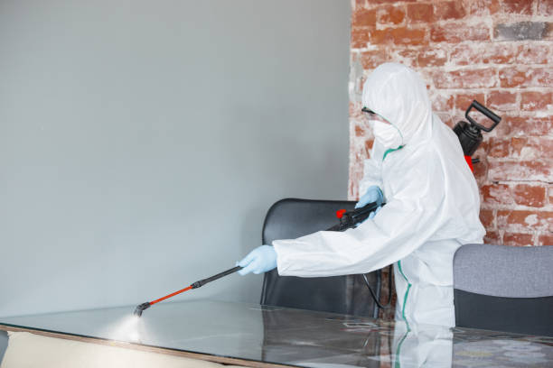 Best Industrial Mold Remediation  in Ethete, WY